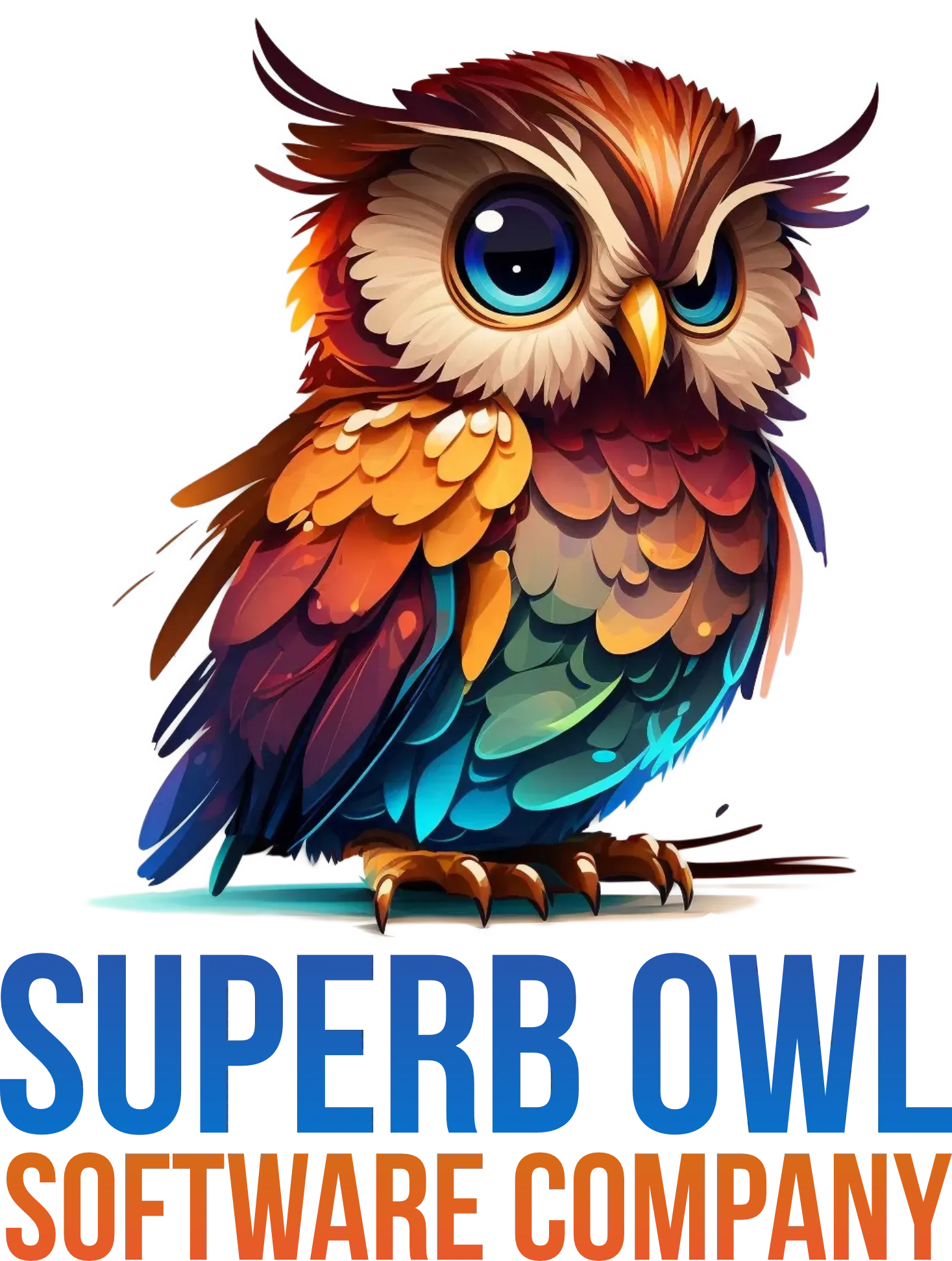 Superb Owl Software Company